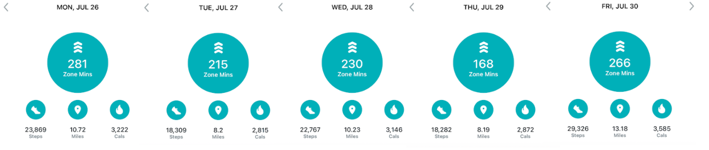 112,463 steps in 5 days.  And Janet carried a 30 lb bag through this all!